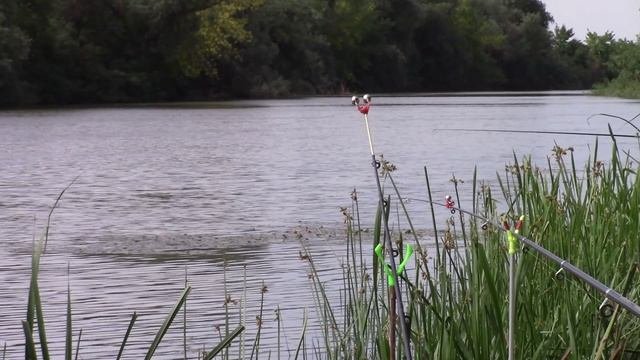07_09_2022_.MP4_РЫБАЛКА НА р.КРИВАЯ ЯМНАЯ._АСТРАХАНСКАЯ обл._