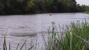 07_09_2022_.MP4_РЫБАЛКА НА р.КРИВАЯ ЯМНАЯ._АСТРАХАНСКАЯ обл._