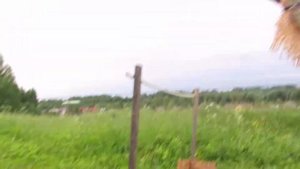 vlog|Тренировка на хорсе с собакой| hobbyhorse