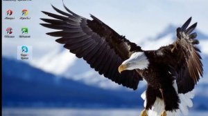 Что делать, если не работает Skype