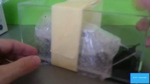 Модели 1:43. История одной покупки