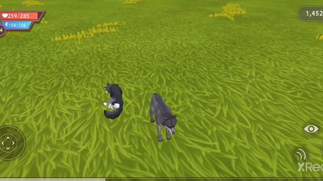 дикие животные.