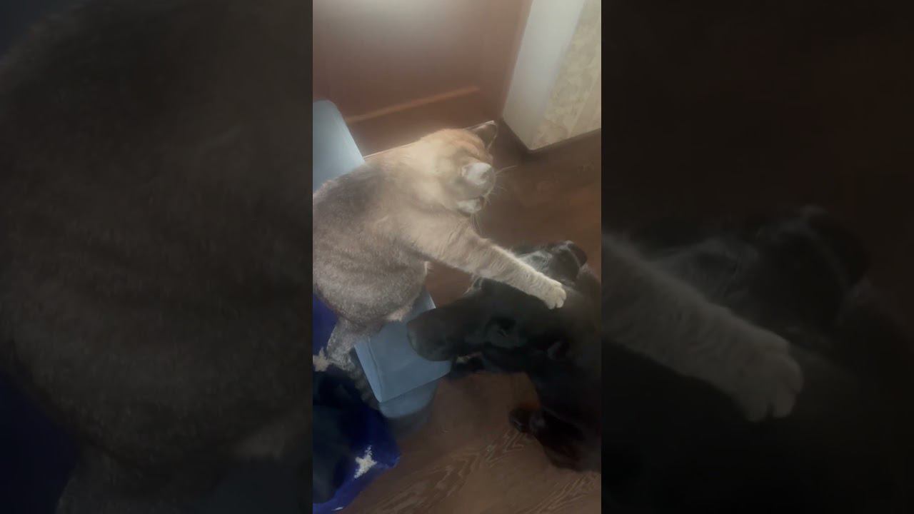 18 февраля 2024 г. смотреть онлайн