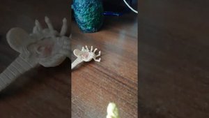 Эволюция   ксеноморфа из чужого (анимация) 👽