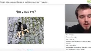 У собаки отказали задние конечности.Доврачебная помощь собакам в экстренных ситуациях. Вебинар.