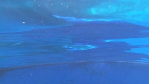 Яхтинг в Турции