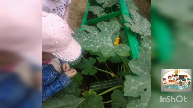 Трудовое, Экологическое, воспитание в детском саду, ВО САДУ ЛИ, В ОГОРОДЕ... ЧАСТЬ II. УРОЖАЙНАЯ смотреть онлайн