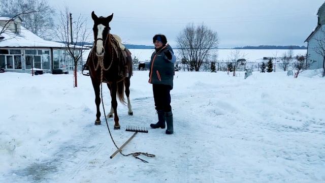 Грабли.нет смотреть онлайн