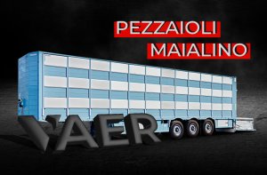 2020 Pezzaioli (загрузка и выгрузка)