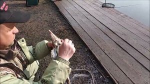 Утренний клёв осетра! Улов за три часа рыбалки! Клёвое место лосиный остров.