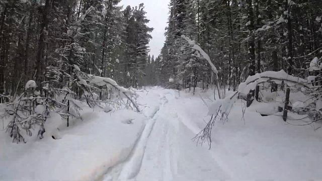 Конжак на снегоходах 11-12 января 2020 смотреть онлайн