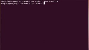 Perl Arrays Example