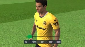 WOLVES FC FACEPACK FIFA 16 MOBILE