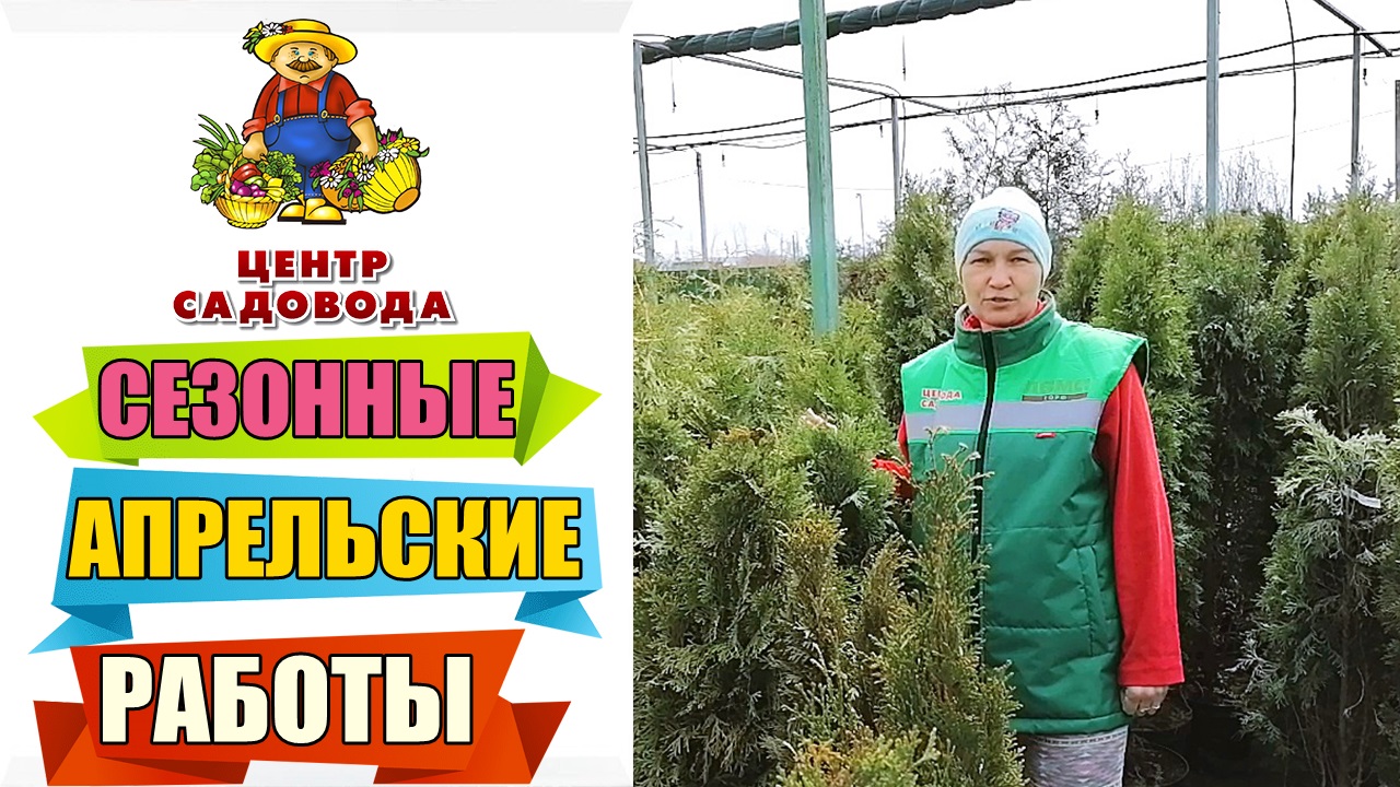 РАБОТЫ В САДУ В АПРЕЛЕ! ЧТО НУЖНО УСПЕТЬ СДЕЛАТЬ?