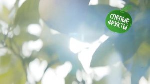 Ваши любимые молочные продукты