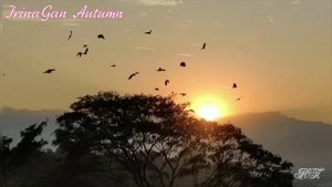 Ирина Ганина #IrinaGan - Autumn #осень #relax #медляк
