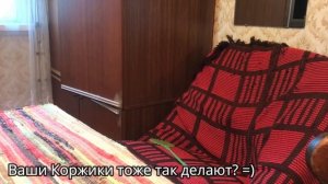ЕДЕМ К ПАПЕ И ТАФФИ! ?Как разговаривают КОРГИ ? Марти поправился?? Семейный VLOG