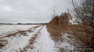 Охота на куропатку! Охота с подхода по куропатке.