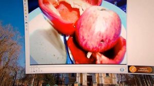 web камера a4 pk 910h. мини обзор.