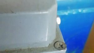 КОРА ОТ ДЕРЕВА В АКВАРИУМЕ