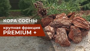 Кора сосны крупная фракция - мульчирование и зонирование участка
