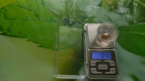 Как при помощи весов и воды определить настоящую пробу золотого кольца