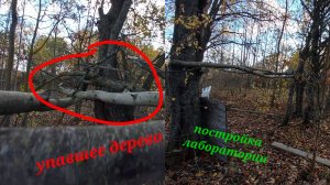 Строю лабораторию.   #1