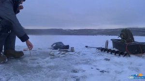 Селёдка и корюшка на Большом Вилюе. Подлёдная рыбалка на Камчатке.