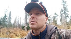 ОХОТА НА ЛОСЯ С ЛАЙКОЙ 2021. Собака выгнала на нас лосей.Moose Hunting.