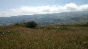 Трактор Т 40 c Косилкой или ЛТЗ-60 с Ротором l Кто лучше?  l Трактор T40 против Трактор ЛТЗ 60