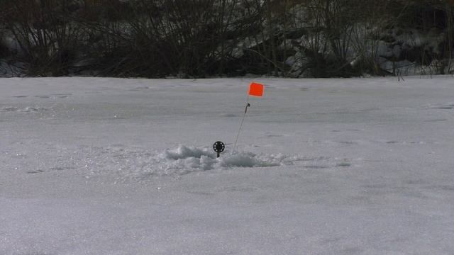 ЛОВЛЯ ЩУКИ НА ЖЕРЛИЦЫ ВЕСНОЙ 2021 В ЗАКОРЯЖЕННОМ ПРУДУ!КРЮКИ КОБРА (КАРКАЛЫГИ) СНОВА СПАСЛИ РЫБАЛКУ смотреть онлайн