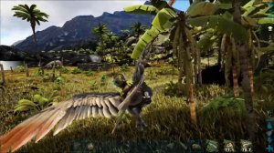 Аранео (Araneo)  в АРК. Лучший обзор: легкое приручение и способности пауков в ark