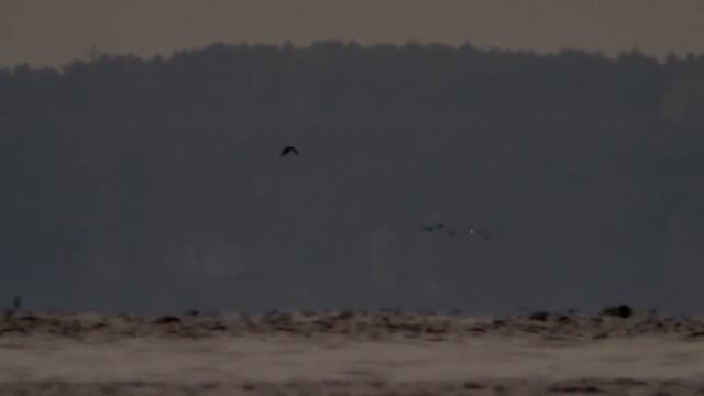 Наблюдение за искривлением земли Шершни, Челябинск смотреть онлайн