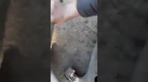 Как проверить вертикальные сайлентблоки переднего рычага