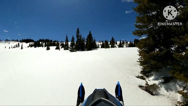 Arctic cat alpha non смотреть онлайн