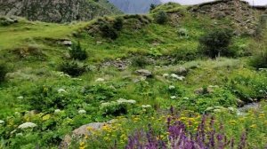 Грузия.Степанцминда.Водопад Гвелети.