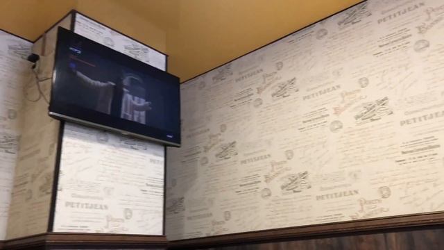 Влог 01 Это Питер, Детка! Океанариум. Ловля Покемонов. Дрифт. Город Санкт-Петербург смотреть онлайн