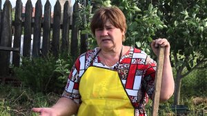 Увеличиваем головку и лежкость чеснока. Тонкости по уходу в июле.