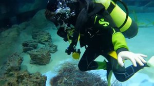 Мальчик и акулы плавают вместе в Москвариуме