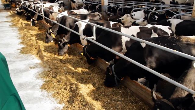 Животноводческие плиты "ШВЕДОФФ" смотреть онлайн