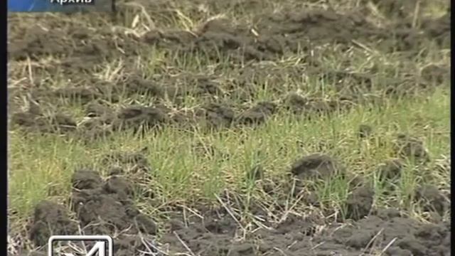 Подделка семян смотреть онлайн