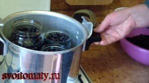 Черника в собственном соку. Черника без сахара