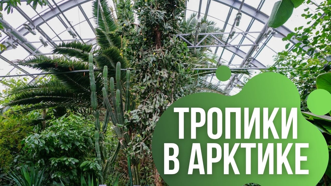 Самый северный ботанический сад России.