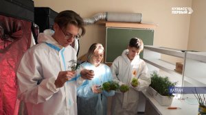 Салат, укроп, томаты и не только