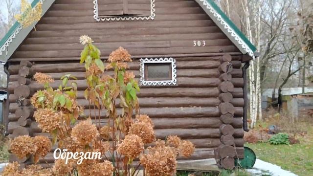 Осенние хлопоты | Готовимся к зиме