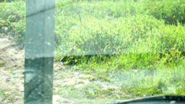 соскино8 смотреть онлайн