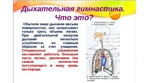 Секреты вокального мастерства. Певческое дыхание