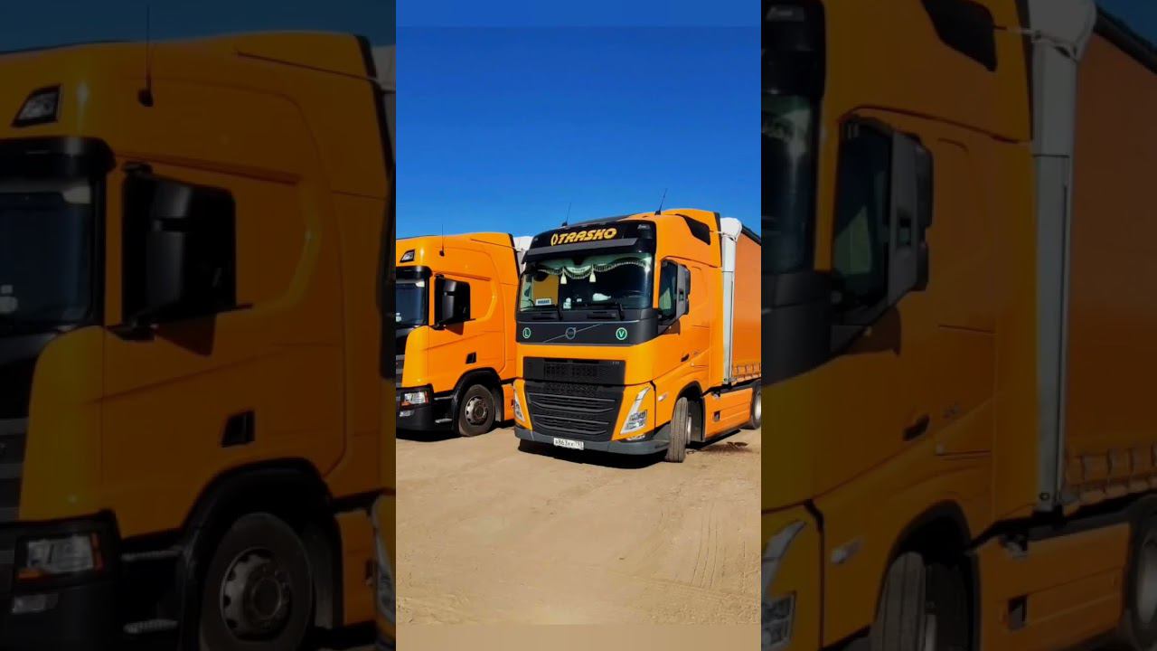 Мои красавцы за 6 лет работы. смотреть онлайн