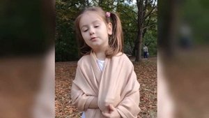 Афанасий Фет " Задрожали листы, облетая...",