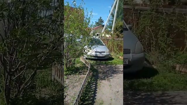 Купили дачу. Шашлык, банька, ночевка. смотреть онлайн